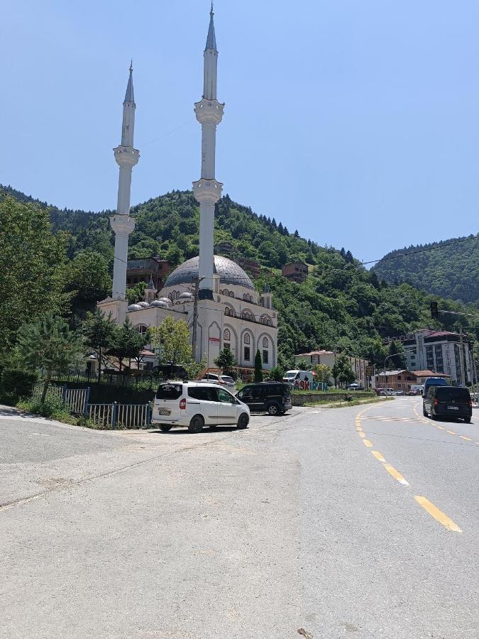 Erdogan Apart Caykara Buitenkant foto